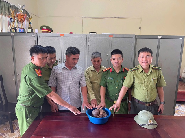 Nghệ An: Phát hiện cá thể tê tê quý hiếm cuộn tròn trên đường- Ảnh 1.