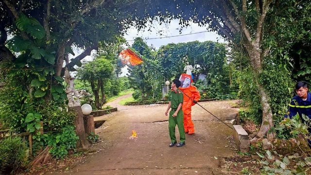 Tổ ong vò vẽ đốt nhiều cháu bé thương vong đã được xử lý- Ảnh 1.