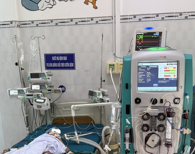 Tổ ong vò vẽ đốt nhiều cháu bé thương vong đã được xử lý- Ảnh 2.