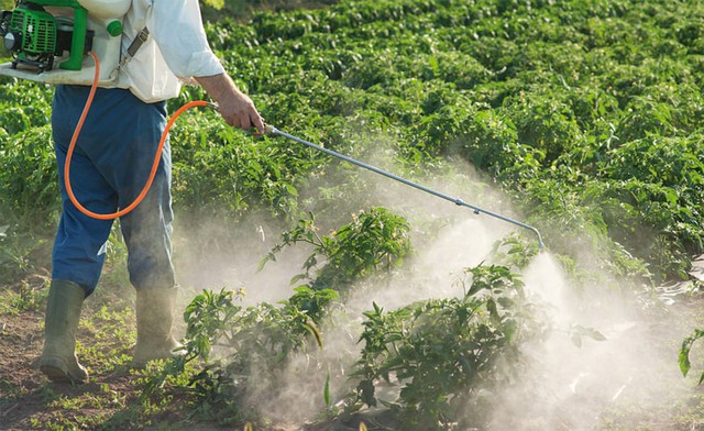 Cảm biến giúp phát hiện nhanh chất siêu độc bị cấm trong thuốc diệt cỏ- Ảnh 2.