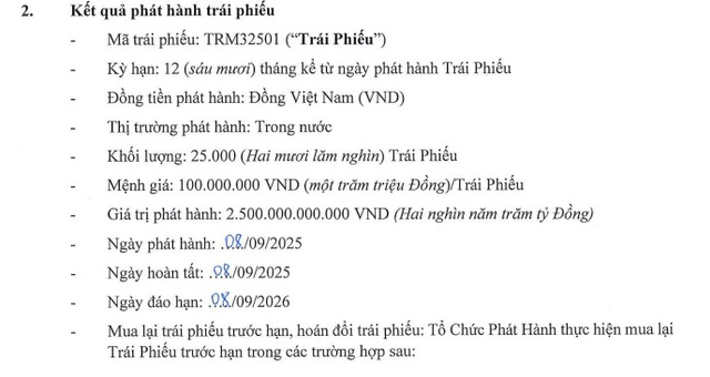 BĐS Trường Minh phát hành 2.500 tỷ đồng trái phiếu- Ảnh 2.