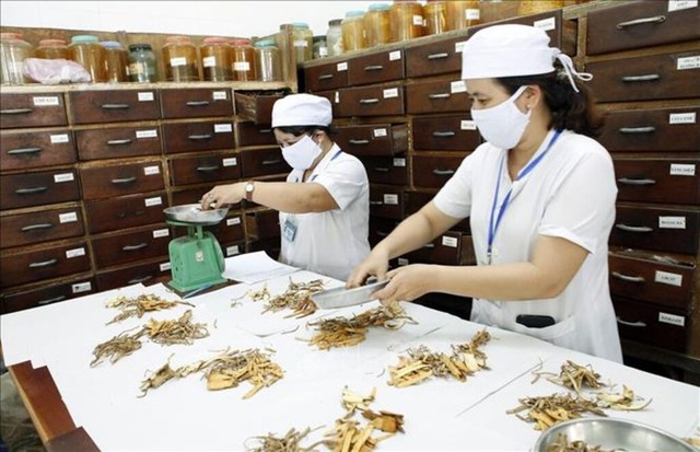 Thủ tướng chỉ đạo phát triển toàn diện y học cổ truyền Việt Nam trong giai đoạn mới- Ảnh 1. Thủ tướng chỉ đạo phát triển toàn diện y học cổ truyền Việt Nam trong giai đoạn mới- Ảnh 1.