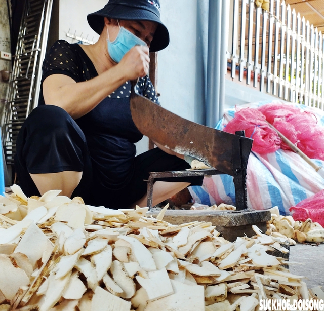 Thủ tướng chỉ đạo phát triển toàn diện y học cổ truyền Việt Nam trong giai đoạn mới- Ảnh 2. Thủ tướng chỉ đạo phát triển toàn diện y học cổ truyền Việt Nam trong giai đoạn mới- Ảnh 2.