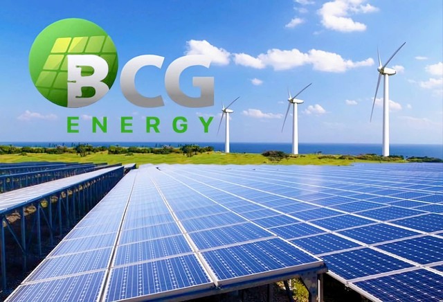 Cổ phiếu BCG của Bamboo Capital bị đưa vào diện cảnh báo- Ảnh 1.