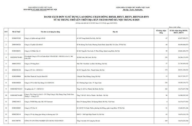 22.796 doanh nghiệp chậm đóng bảo hiểm xã hội tháng 8- Ảnh 2.
