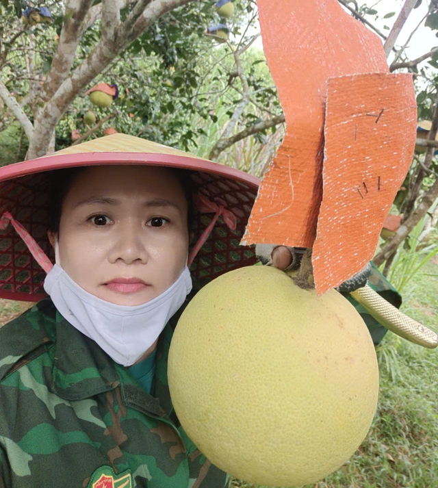 'Thủ phủ' bưởi Phúc Trạch vào vụ thu hoạch- Ảnh 5. 'Thủ phủ' bưởi Phúc Trạch vào vụ thu hoạch- Ảnh 5.
