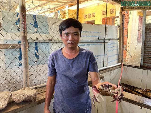 Nuôi cua đá trên đảo Cồn Cỏ: Hướng đi mới cho sinh kế và bảo tồn- Ảnh 4.
