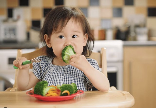 Vai trò của dinh dưỡng trong 1.000 ngày đầu đời: Nền tảng cho sự phát triển toàn diện của bà mẹ và trẻ nhỏ- Ảnh 1.
