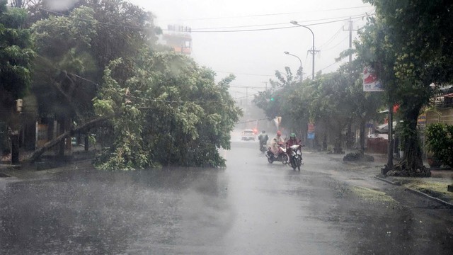 Triển khai gấp các biện pháp ứng phó với bão Ragasa- Ảnh 2. Triển khai gấp các biện pháp ứng phó với bão Ragasa- Ảnh 2.