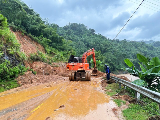 Bão số 10 gây sạt lở hàng nghìn mét khối đất đá, hàng vạn cây gãy đổ- Ảnh 2.
