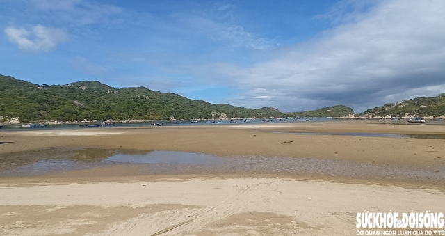 Khánh Hoà: Vịnh Vĩnh Hy bị bồi lấp nghiêm trọng, du lịch gặp khó- Ảnh 6. Khánh Hoà: Vịnh Vĩnh Hy bị bồi lấp nghiêm trọng, du lịch gặp khó- Ảnh 6.