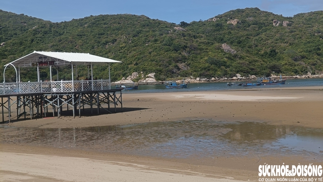 Khánh Hoà: Vịnh Vĩnh Hy bị bồi lấp nghiêm trọng, du lịch gặp khó- Ảnh 3. Khánh Hoà: Vịnh Vĩnh Hy bị bồi lấp nghiêm trọng, du lịch gặp khó- Ảnh 3.