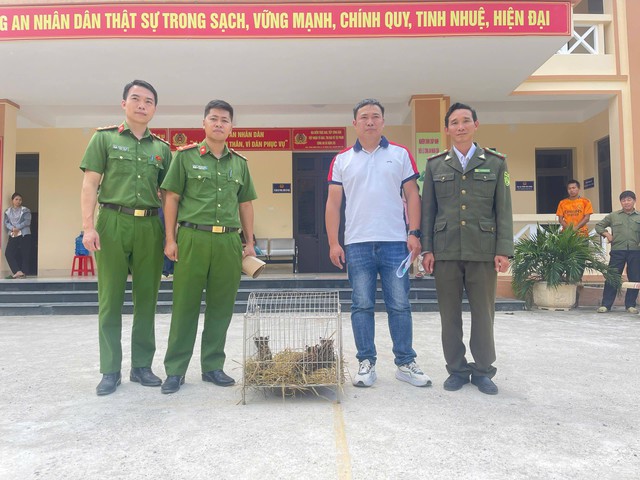 Đi làm nương, phát hiện động vật quý hiếm trong bao tải vứt ven đường- Ảnh 2. Đi làm nương, phát hiện động vật quý hiếm trong bao tải vứt ven đường- Ảnh 2.