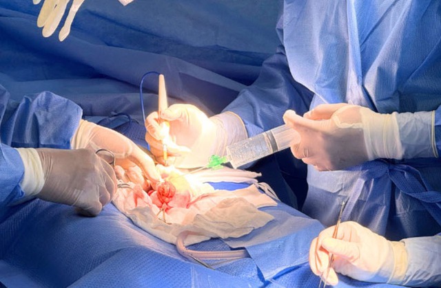 Giải pháp mới cho nam giới không tinh trùng- Ảnh 1. Giải pháp mới cho nam giới không tinh trùng- Ảnh 1.