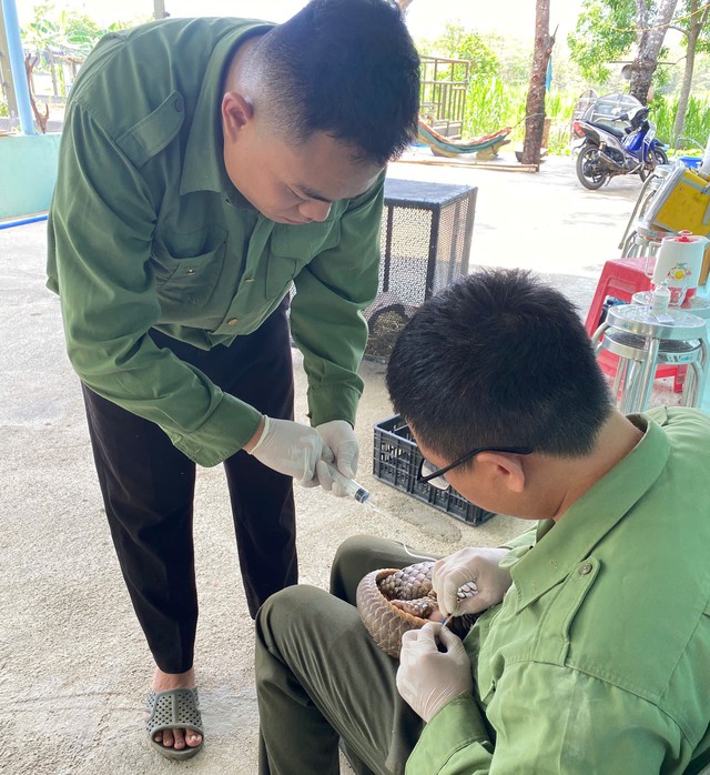 ‘Ngôi nhà đặc biệt’ của động vật quý hiếm- Ảnh 3. ‘Ngôi nhà đặc biệt’ của động vật quý hiếm- Ảnh 3.