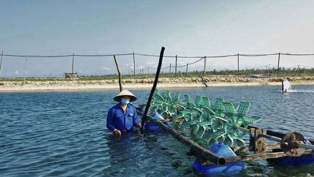 Cần Thơ giảm nghèo bền vững: Lan tỏa tinh thần tự lực, tự cường- Ảnh 2.