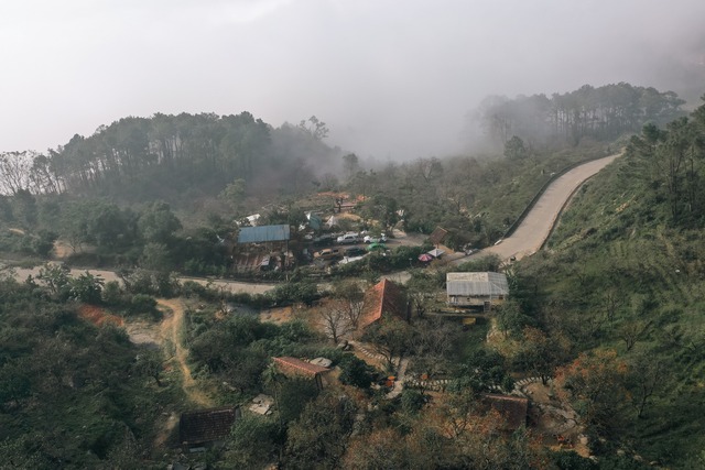 Vườn hồng cổ thụ hút khách chụp ảnh mùa quả chín- Ảnh 6.