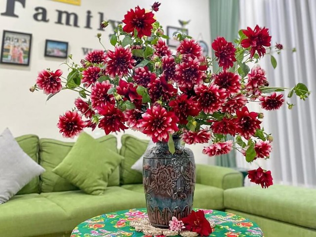 Có nên 'ngâm cành thược dược vào nước sôi để hoa tươi lâu'?- Ảnh 2.