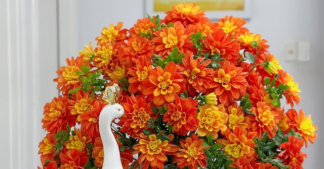 Có nên 'ngâm cành thược dược vào nước sôi để hoa tươi lâu'?- Ảnh 1.