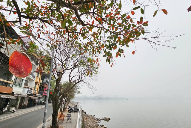 Sáng sớm, nhiều nơi vùng núi Bắc Bộ rét dưới 10 độ C- Ảnh 1.