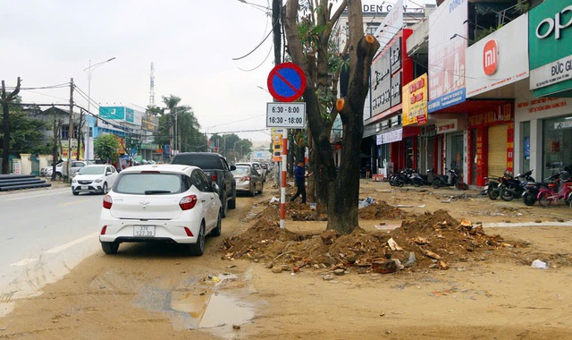 Bộ Công an đề nghị truy tố Chủ tịch Công ty Cây xanh Công Minh- Ảnh 2.