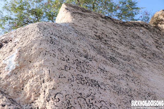 Tấm bia đá khắc chữ Chăm cổ phơi nắng gió giữa cánh đồng cần được bảo tồn- Ảnh 3.