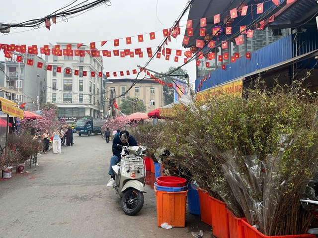 Lan, đào khoe sắc, người dân Hà Nội háo hức mang Tết sớm về nhà- Ảnh 1.