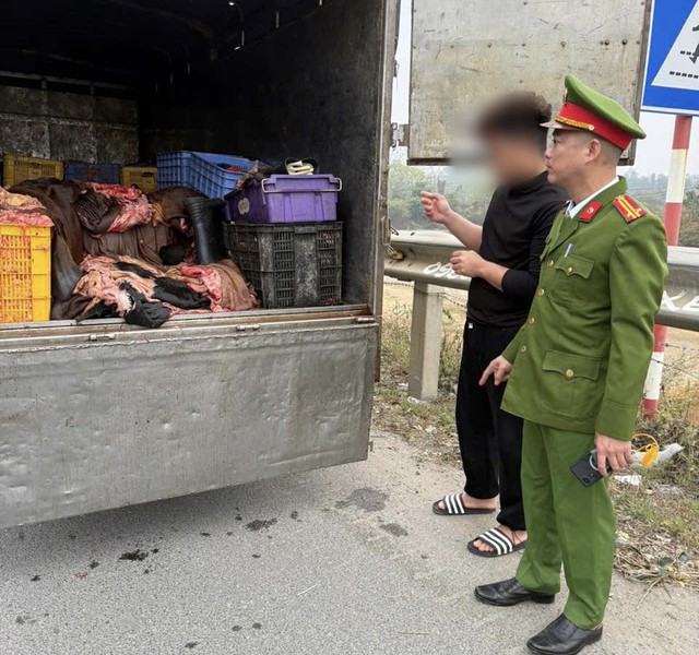 Phú Thọ: Ngăn chặn 1,2 tấn mỡ, da trâu bò không rõ nguồn gốc khi đang lưu thông- Ảnh 1.
