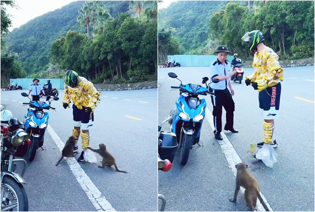 Phản cảm clip du khách quấn chuối quanh người “chọc ghẹo” khỉ ở Sơn Trà- Ảnh 1.