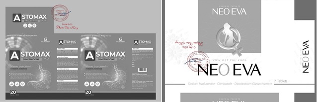 Thu hồi 2 số công bố của GIG Pharma do hồ sơ không đảm bảo luật định- Ảnh 2.