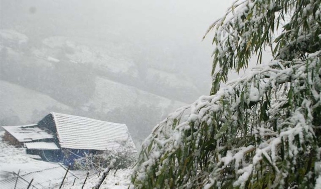 Xuất hiện băng tuyết ở đỉnh Mẫu Sơn, nhiệt giảm còn 0 độ C- Ảnh 1.