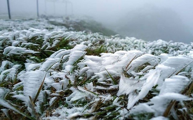 Nhiều nơi Bắc Bộ rét đậm, Mẫu Sơn xuống 1 độ C- Ảnh 1.