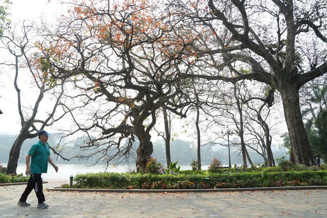 Miền Bắc ấm dần từ nay đến cuối tháng 1- Ảnh 1.