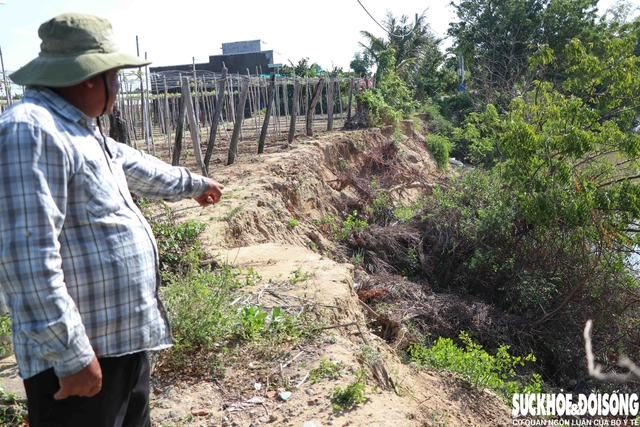 Sạt lở bờ sông Lu, người dân ở Khánh Hòa gặp khó- Ảnh 7.
