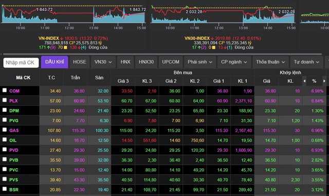 Chứng khoán tiếp tục 'bốc hơi' 13,22 điểm, cổ phiếu dầu khí đua trần- Ảnh 1.