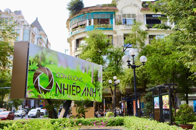 Người dân thích thú check-in Con đường nhiếp ảnh 'độc nhất vô nhị' ở TPHCM- Ảnh 6. Người dân thích thú check-in Con đường nhiếp ảnh 'độc nhất vô nhị' ở TPHCM- Ảnh 6.