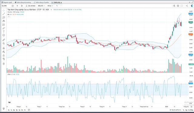 Agriseco khuyến nghị mua đối với cổ phiếu DBC và GVR- Ảnh 2.