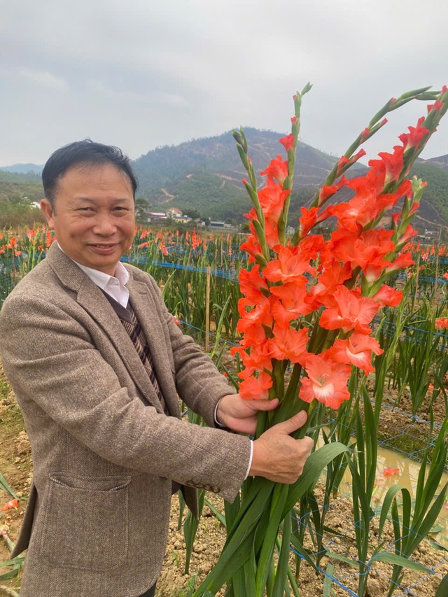 'Điều khiển' hoa lay ơn nở đúng Tết và cách nhận diện cành hoa đẹp- Ảnh 2.