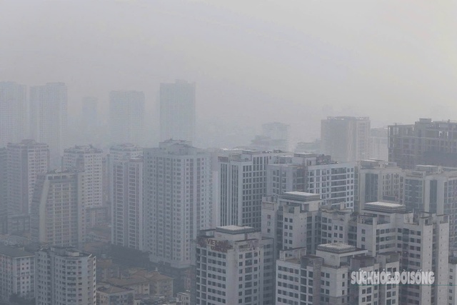 Sương mù đậm đặc ảnh hưởng đến đời sống và sức khỏe thế nào?- Ảnh 1.