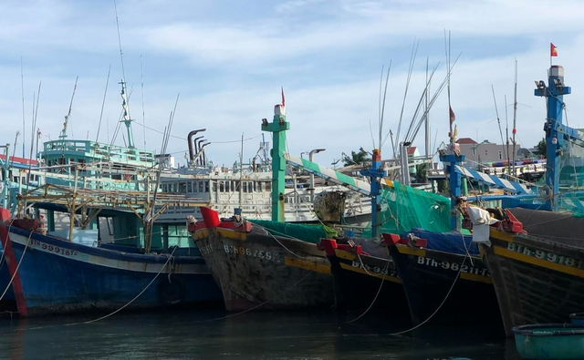 Hai tàu cá ở Lâm Đồng bị xử phạt 154 triệu đồng- Ảnh 1.