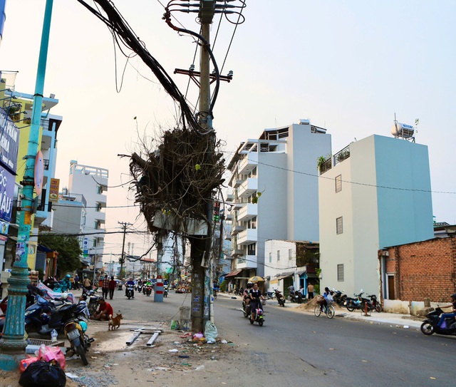 Dãy cột điện ‘án ngữ’ giữa tuyến đường hơn nghìn tỷ đồng ở TPHCM- Ảnh 8. Dãy cột điện ‘án ngữ’ giữa tuyến đường hơn nghìn tỷ đồng ở TPHCM- Ảnh 8.