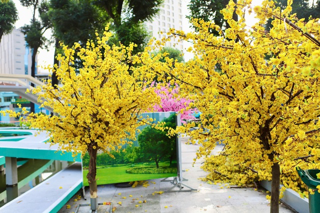 Diện mạo Hồ Con Rùa sau một tuần chỉnh trang- Ảnh 11.