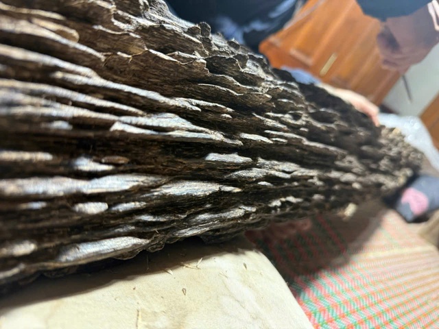 Khúc gỗ quý hiếm được trả giá hơn 600 triệu đồng gia chủ chưa bán- Ảnh 1.