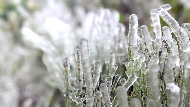 Băng giá phủ trắng đỉnh Phia Oắc ở Cao Bằng- Ảnh 1.