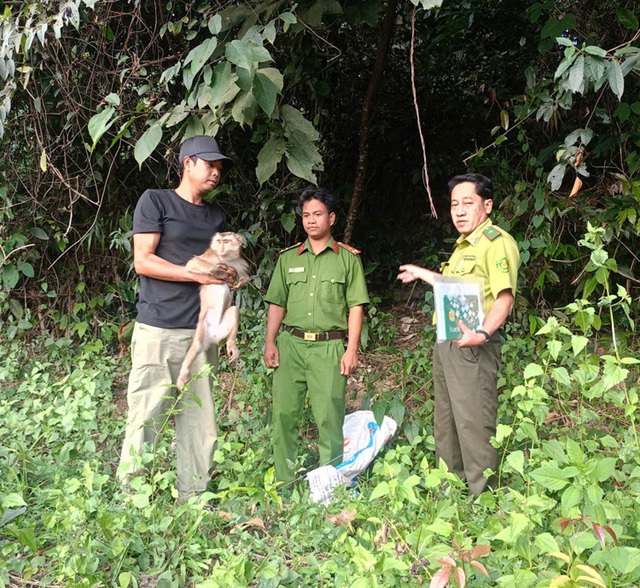 Công an xã Đông Giang phối hợp lực lượng chức năng tiếp nhận và tiến hành thả các cá thể khỉ về môi trường tự nhiên