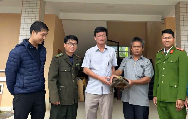 Đi làm rẫy, người đàn ông ở Huế phát hiện rùa núi viền quý hiếm- Ảnh 1.