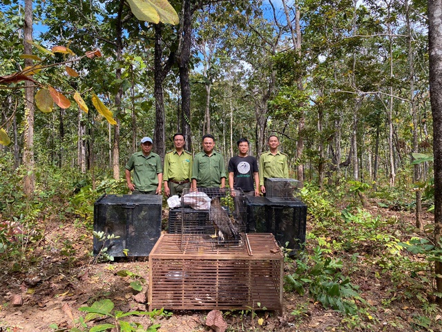 Ngắm dàn động vật quý hiếm được trở về rừng Tây Nguyên- Ảnh 1.