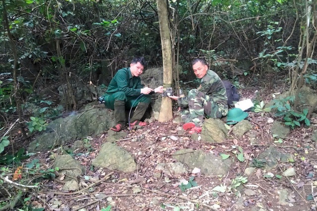 Phát hiện hai mẹ con loài sơn dương đang thảnh thơi đi dạo trong rừng- Ảnh 1. Phát hiện hai mẹ con loài sơn dương đang thảnh thơi đi dạo trong rừng- Ảnh 1.