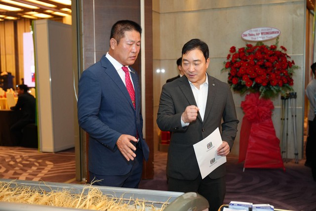 Cách chọn hồng sâm 6 năm tuổi hỗ trợ sức khỏe- Ảnh 2.