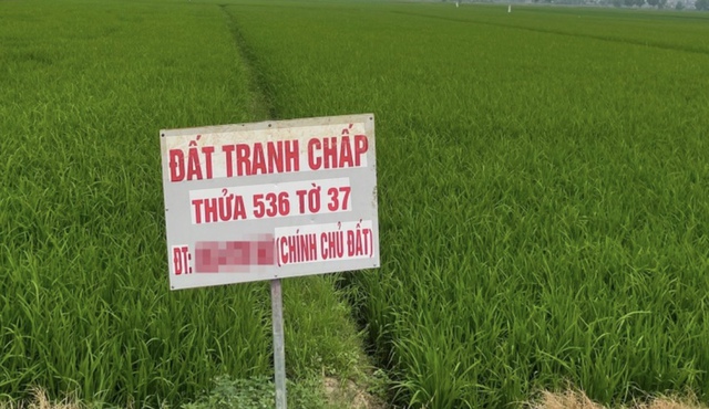 Đất tranh chấp: Những điểm người dân dễ nhầm lẫn- Ảnh 1.